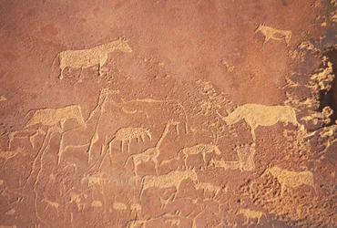 Twyfelfontein, südlich von Khorixas, hat eine der umfangreichsten Ansammlungen prähistorischer Felsmalereien in Namibia, gemalt von den Damara vor 5-6.000 Jahren. Überwiegend dargestellt sind Löwen